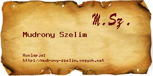 Mudrony Szelim névjegykártya